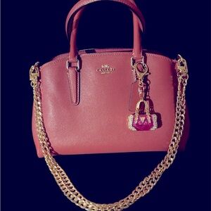 COACH Mini Sage Carryall EUC
NO crossbody strap